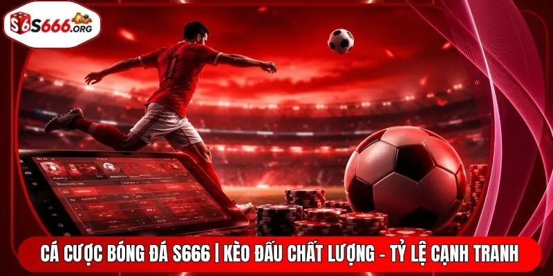 Cá Cược Bóng Đá S666 | Kèo Đấu Chất Lượng - Tỷ Lệ Cạnh Tranh