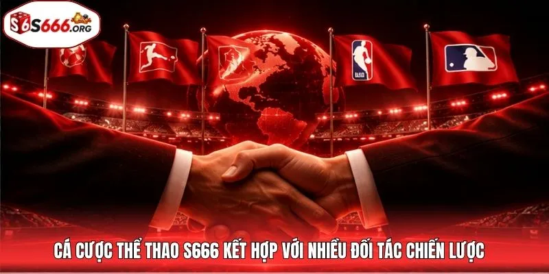 Cá cược thể thao S666 kết hợp với nhiều đối tác chiến lược