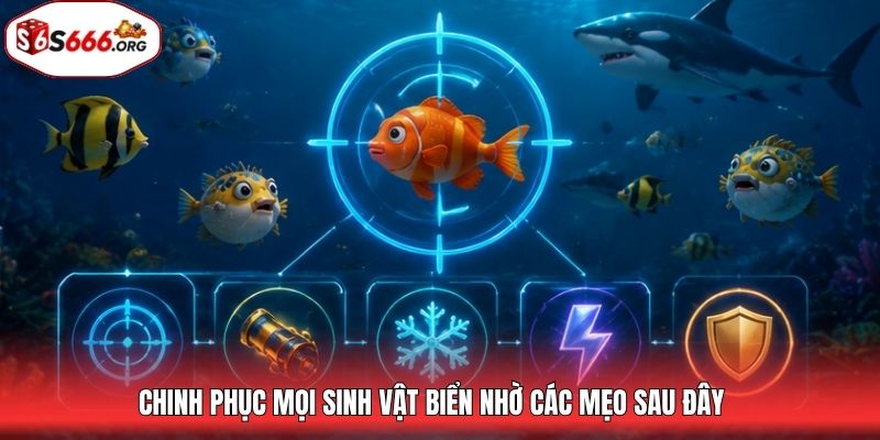 Chinh phục mọi sinh vật biển nhờ các mẹo sau đây