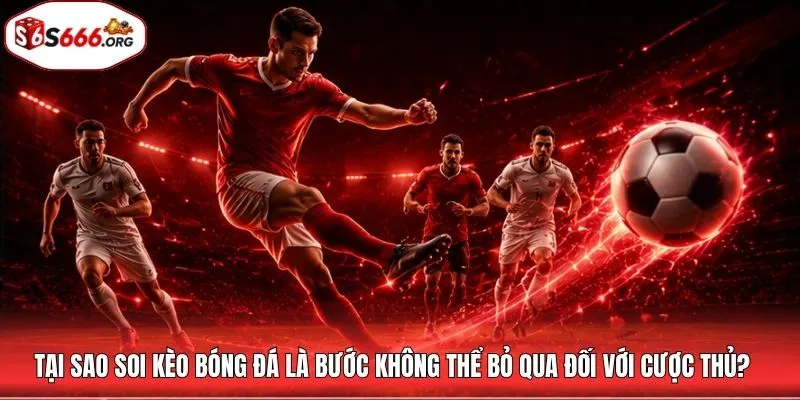 Tại sao soi kèo bóng đá là bước không thể bỏ qua đối với cược thủ?