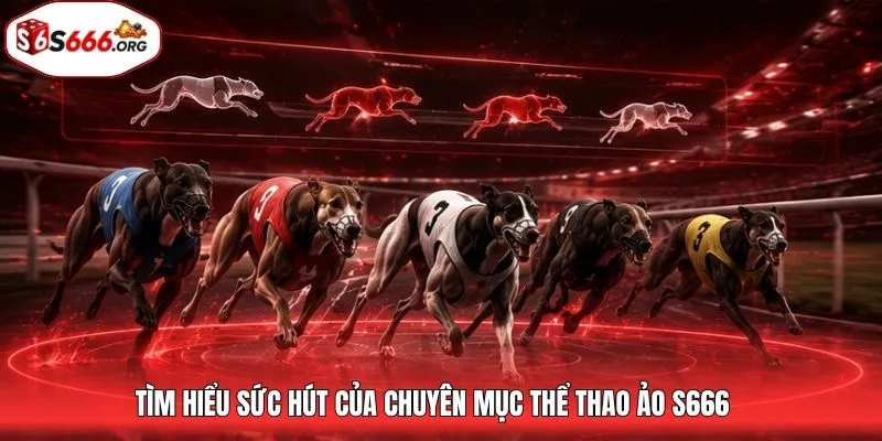 Tìm hiểu sức hút của chuyên mục thể thao ảo S666
